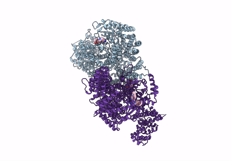9L40 image