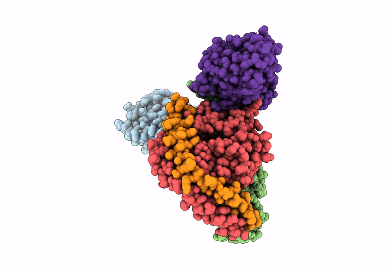 9L42 image