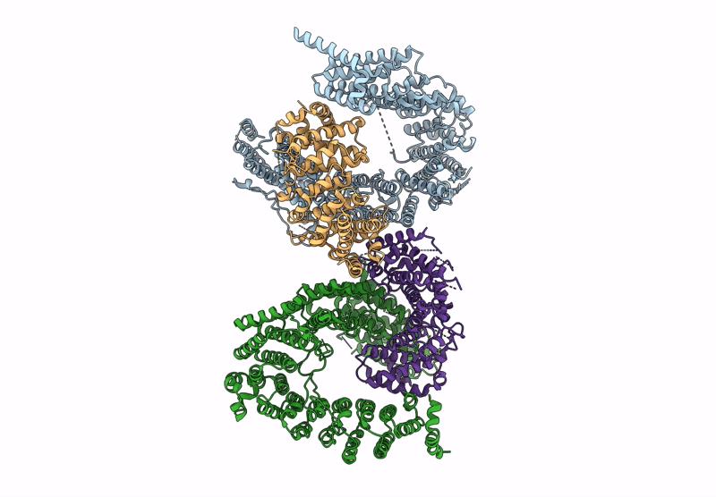 9L43 image