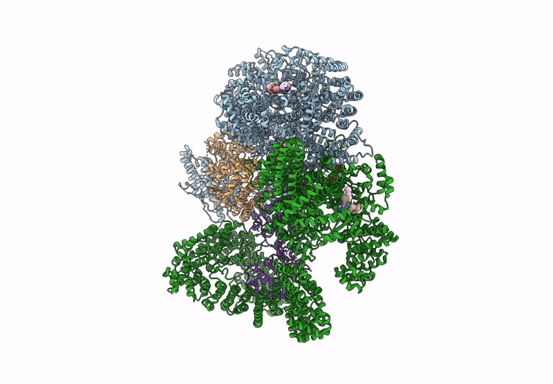 9L45 image