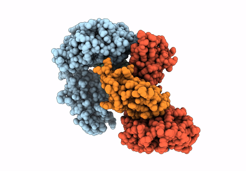 9L47 image
