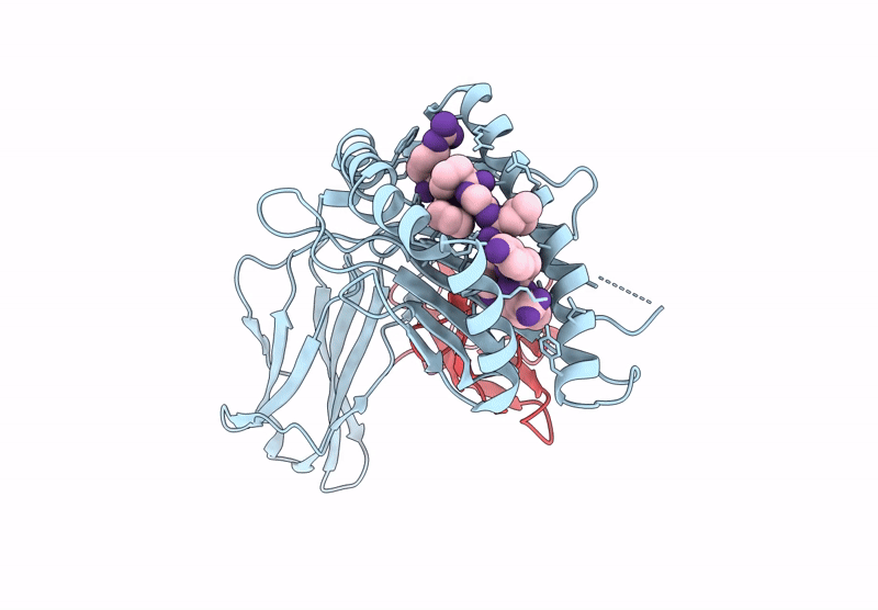 9L49 image