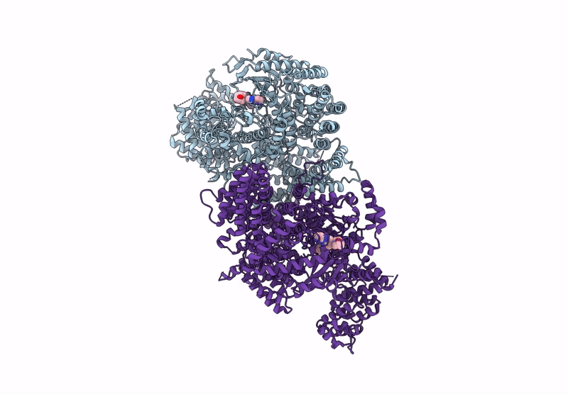 9L4B image
