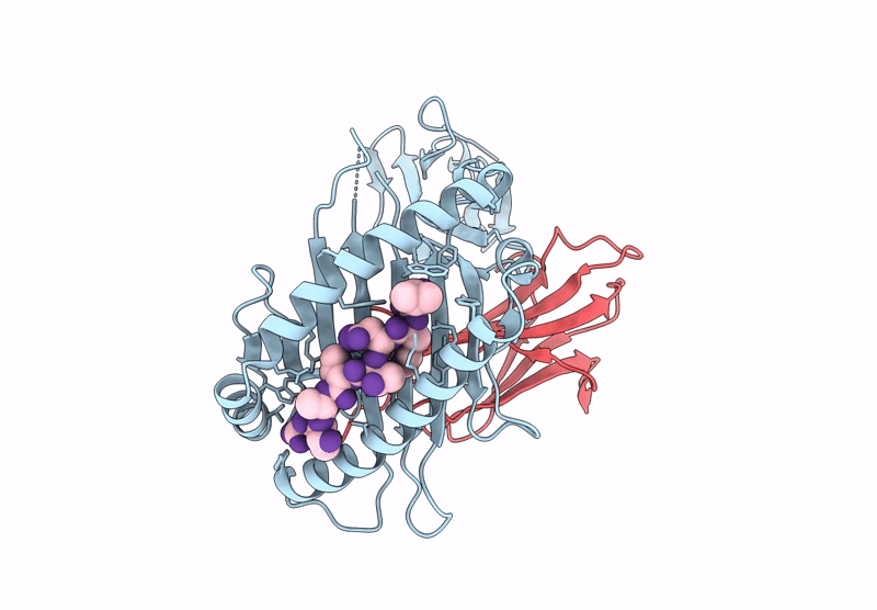 9L4G image