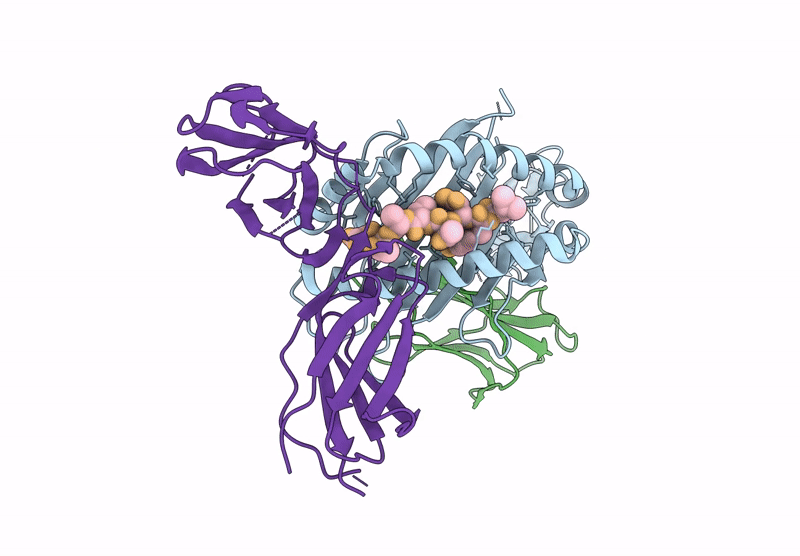 9L4I image