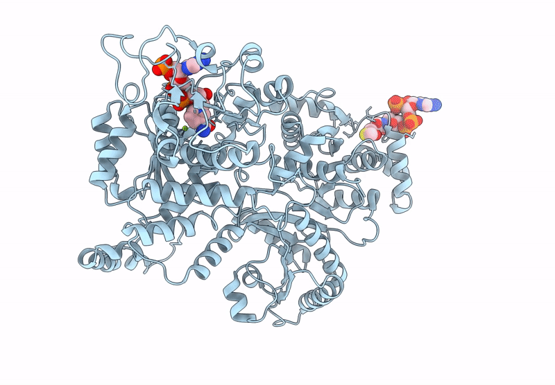 9L4N image