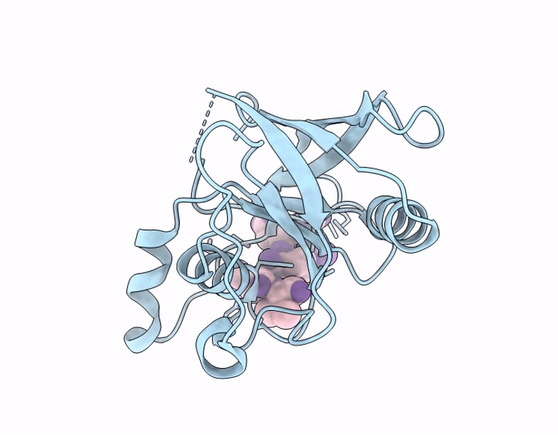 9L4P image
