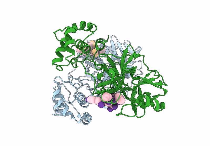 9L4S image