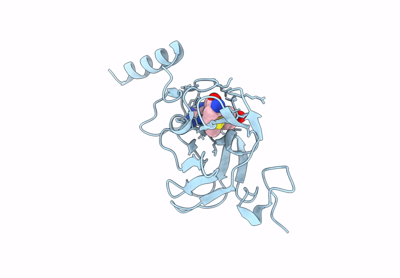 9L4V image