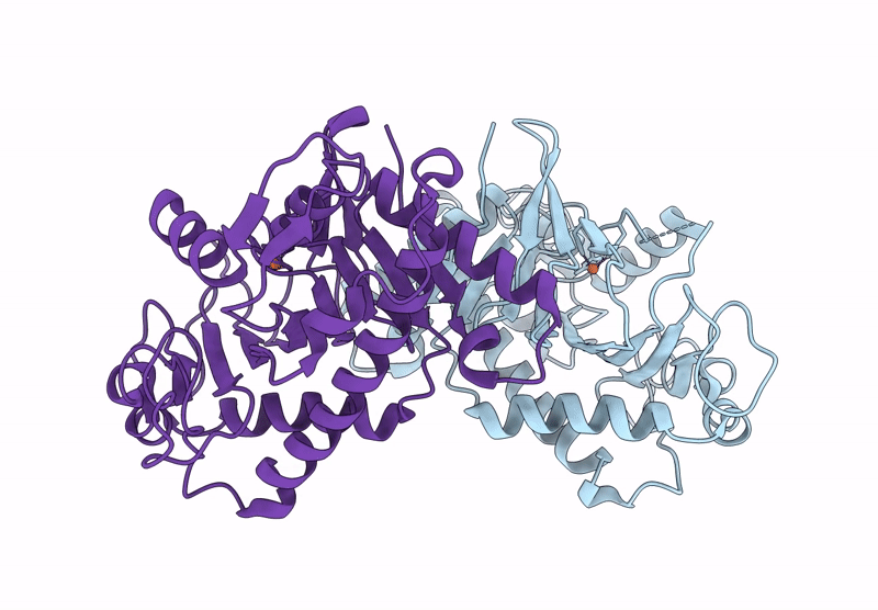 9L51 image