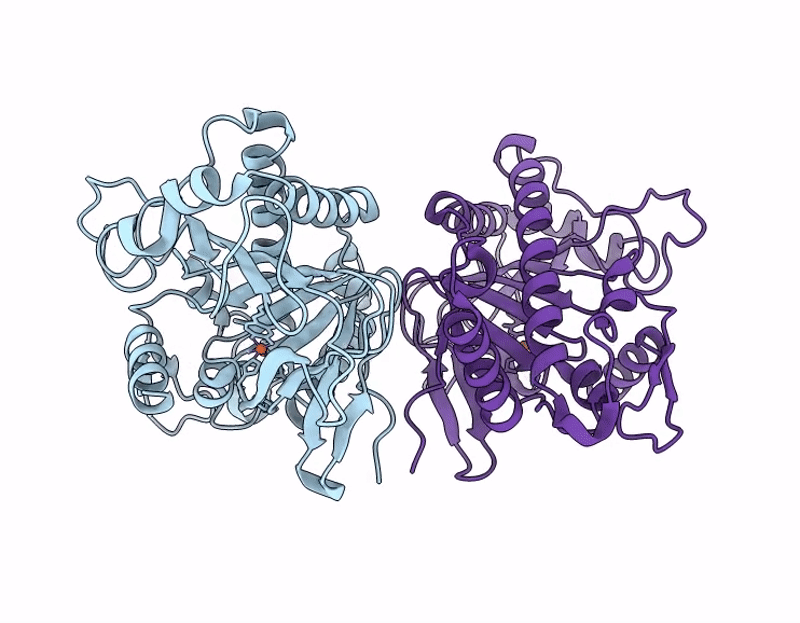 9L52 image