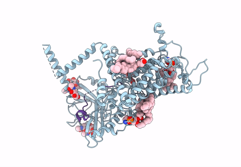 9L54 image