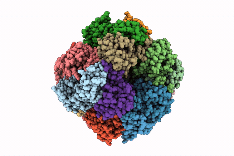 9L58 image
