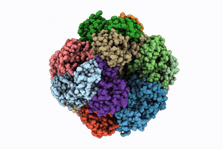 9L5D image