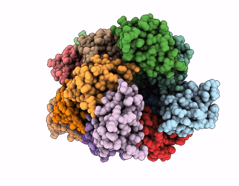 9L5W image