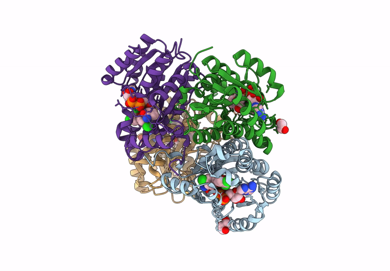 9L5X image