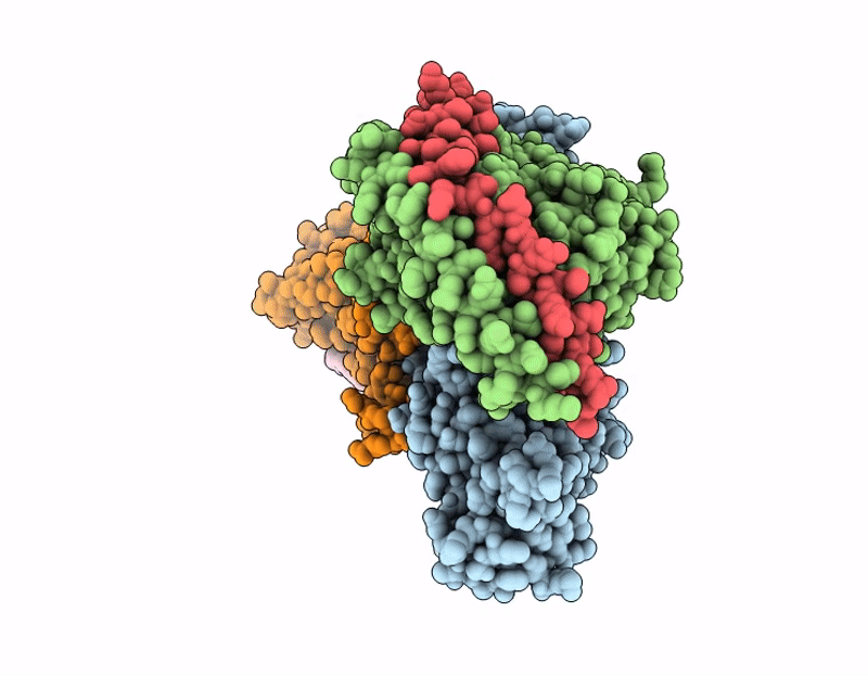 9L60 image