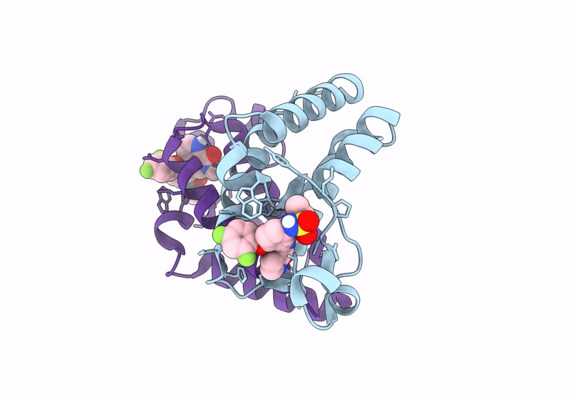 9L61 image