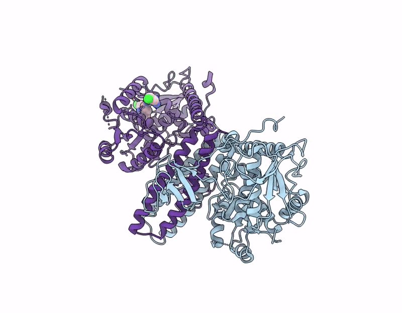 9L62 image