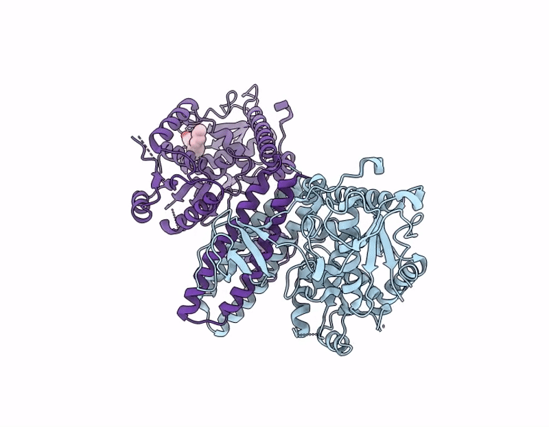 9L63 image
