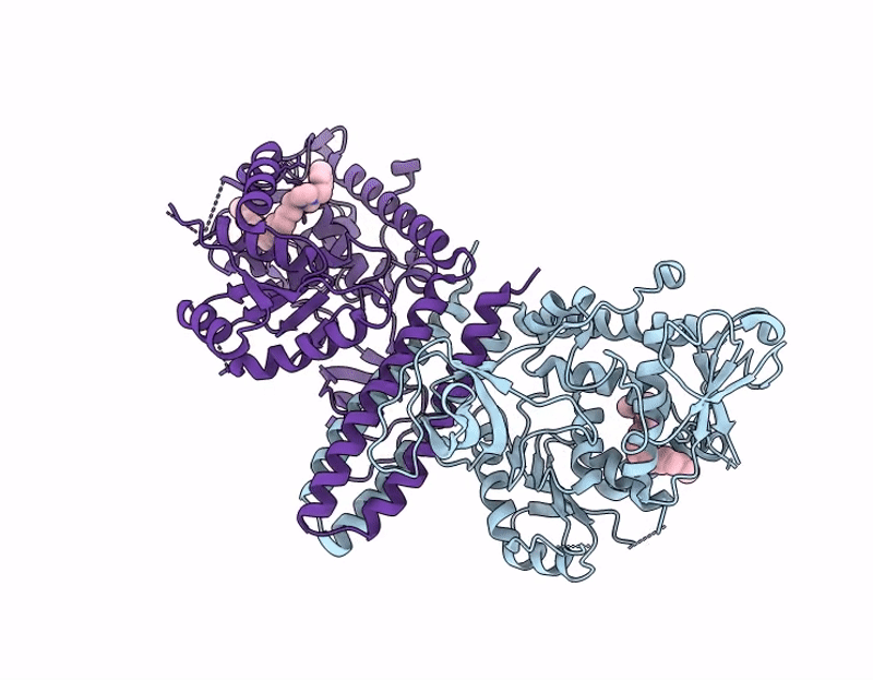9L64 image