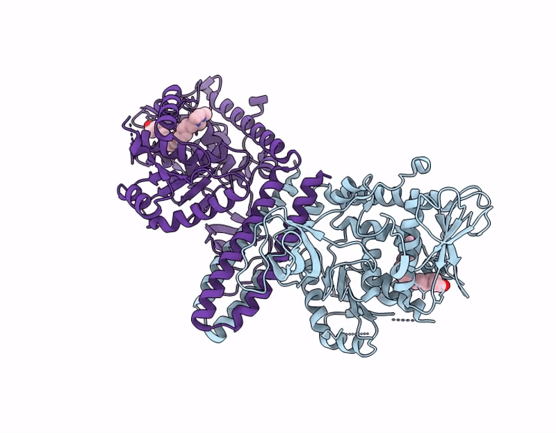 9L65 image