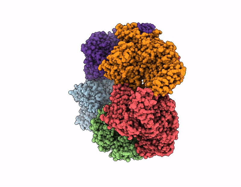 9L6I image