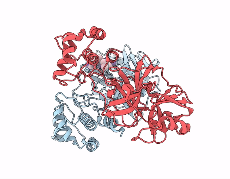 9L6N image