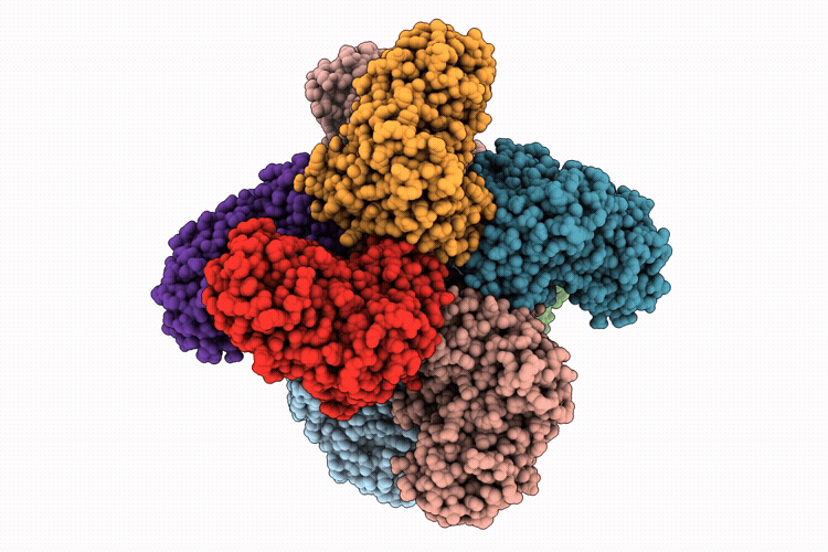 9L6P image