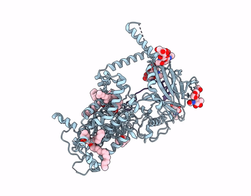 9L6S image