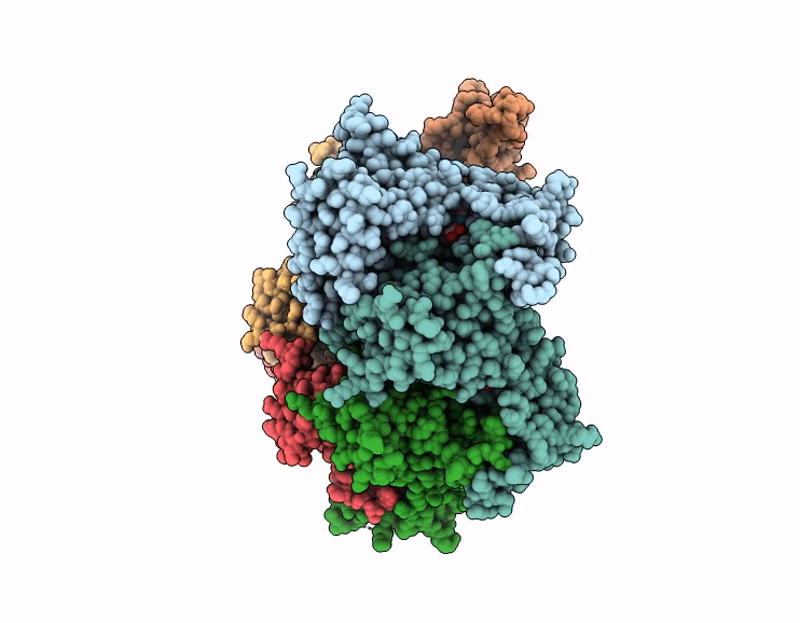 9L6W image