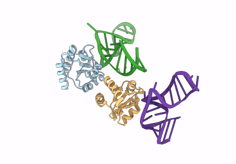 9L6X image