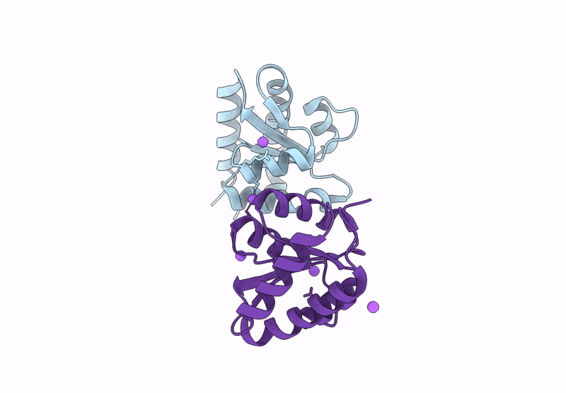 9L6Z image