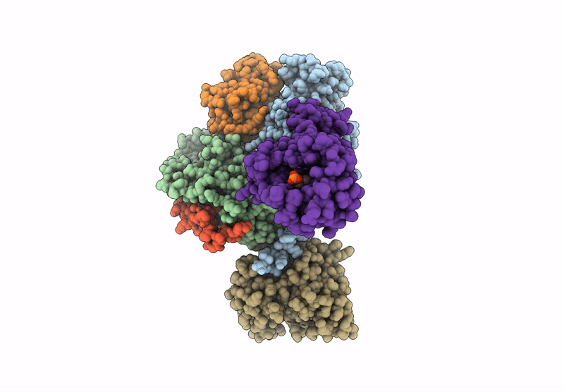 9L74 image