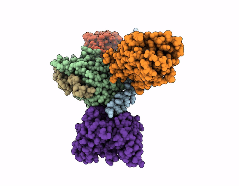 9L79 image