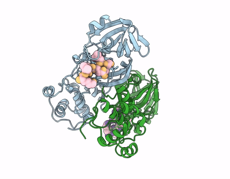 9L7B image