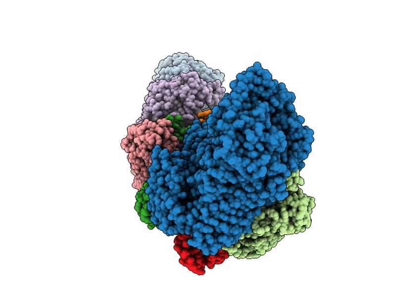 9L7C image