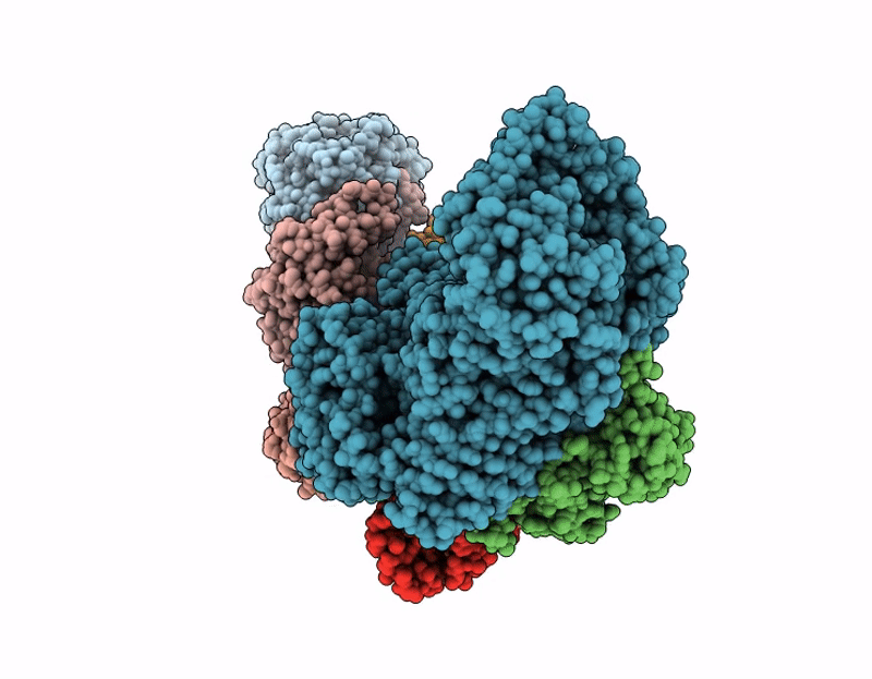 9L7D image