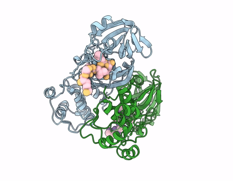 9L7N image