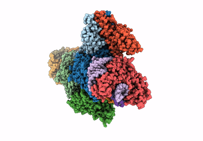 9L7P image