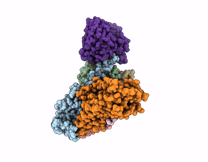 9L80 image