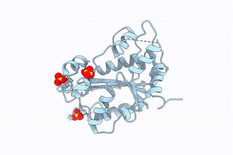 9L86 image