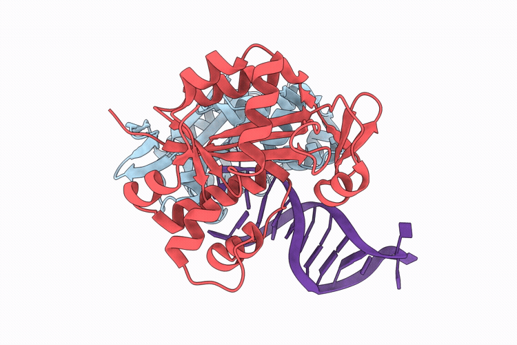 9L87 image