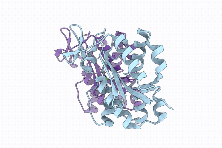 9L8B image