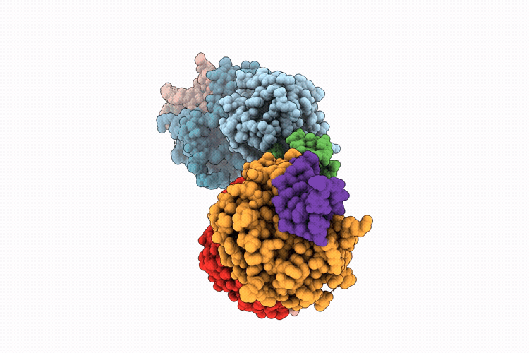 9L8C image