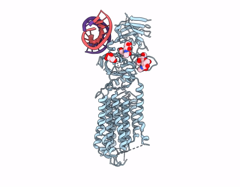 9L8O image