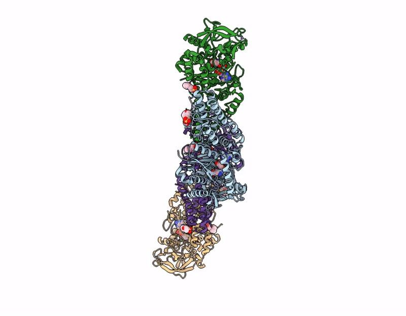 9L8V image