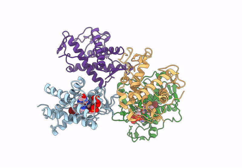 9L91 image