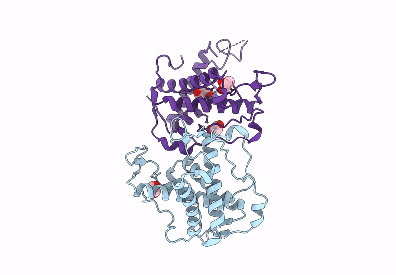 9L92 image