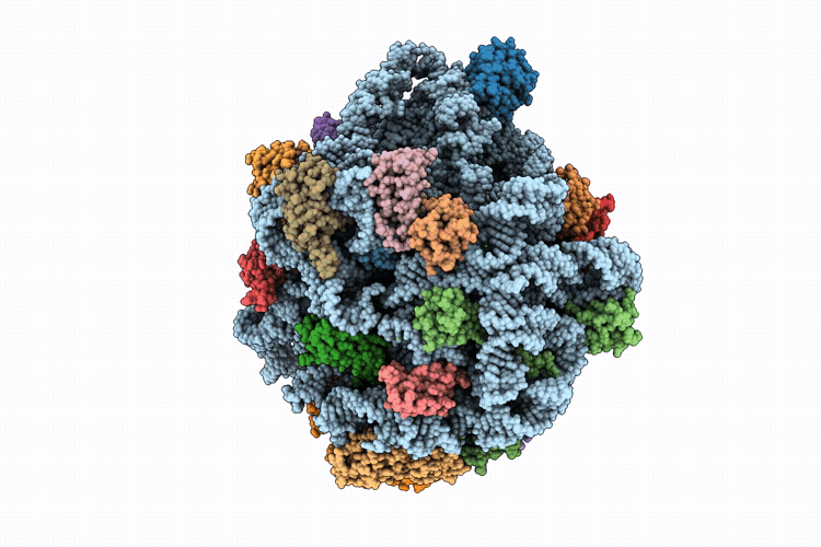 9L94 image